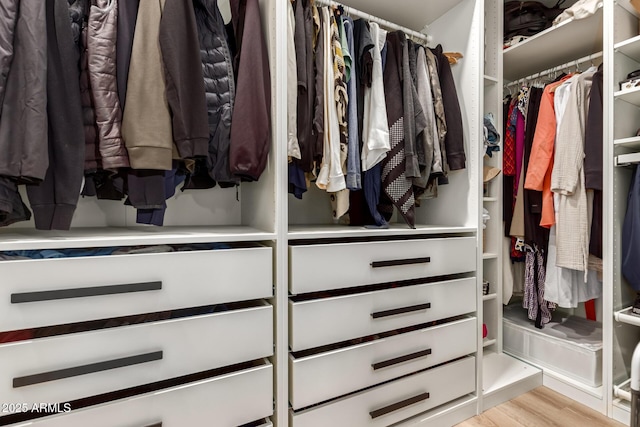 view of closet
