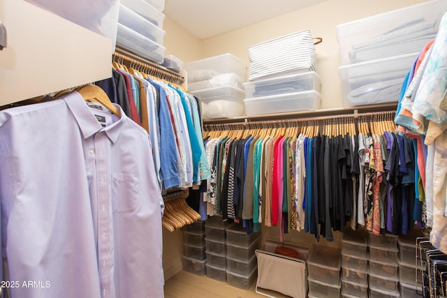 view of spacious closet