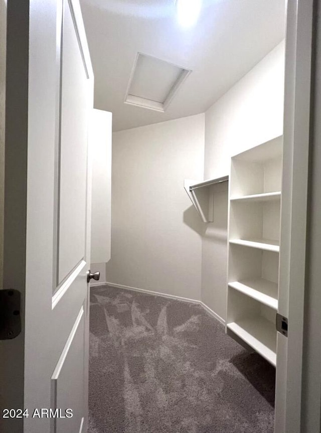 walk in closet featuring carpet floors