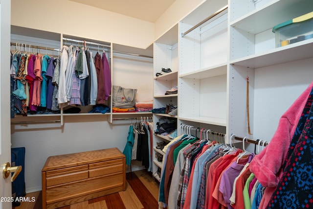 walk in closet with hardwood / wood-style floors