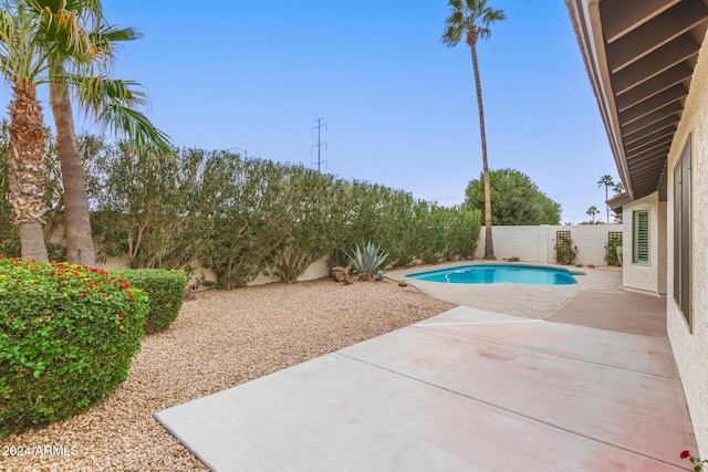 view of swimming pool featuring a patio