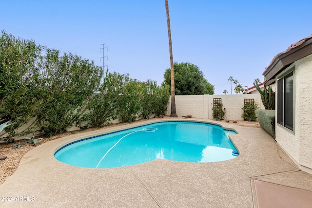 view of pool featuring a patio area