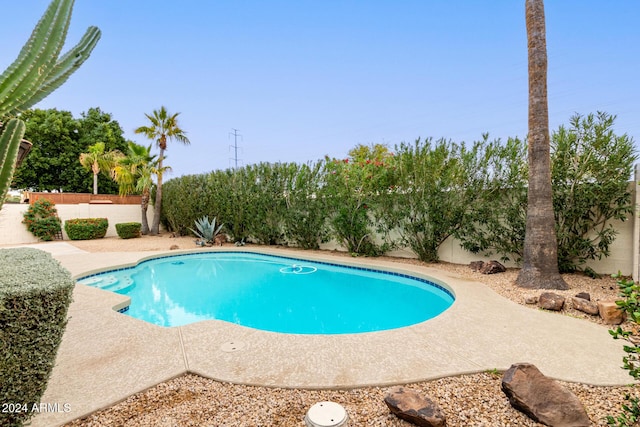 view of pool featuring a patio