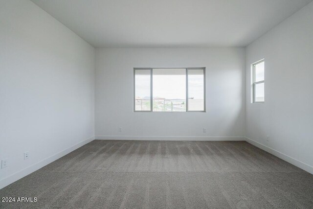 empty room featuring carpet floors