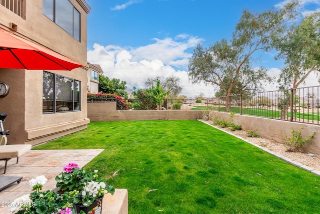 view of yard featuring a fenced backyard and a patio area