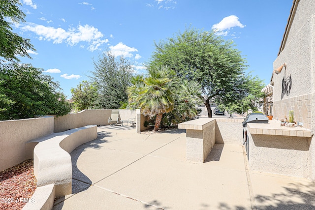 view of patio / terrace with area for grilling