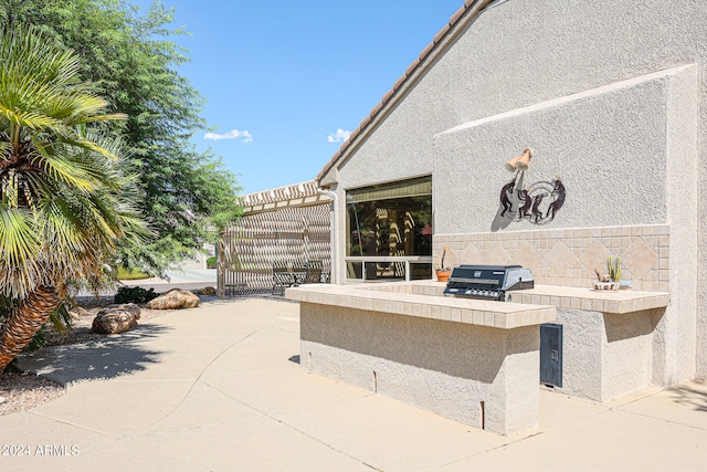 view of patio with an outdoor kitchen and grilling area