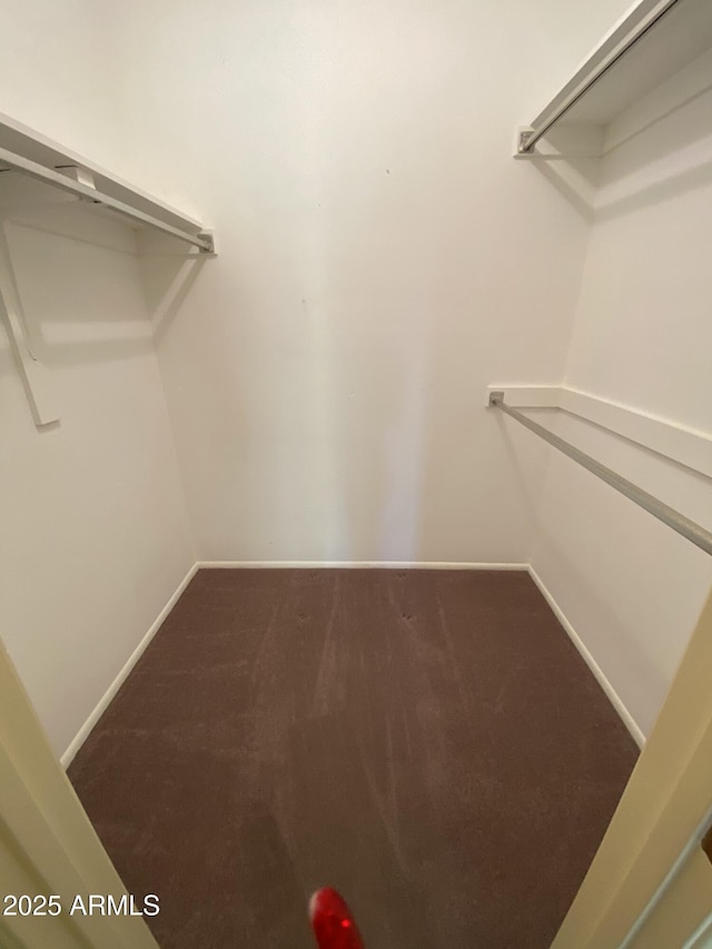 walk in closet featuring carpet floors