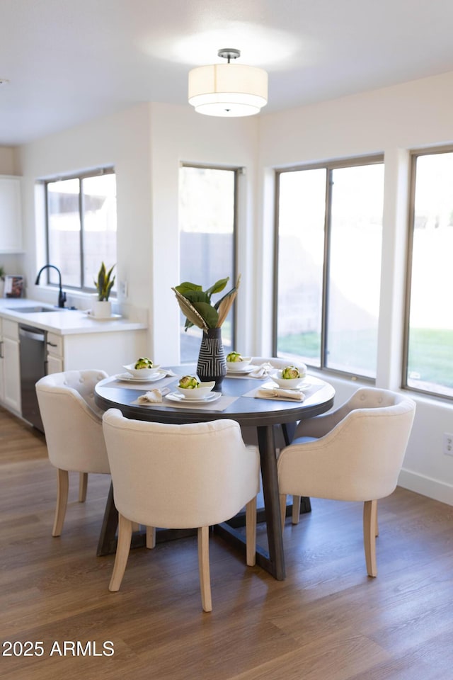 dining space featuring plenty of natural light, baseboards, and wood finished floors