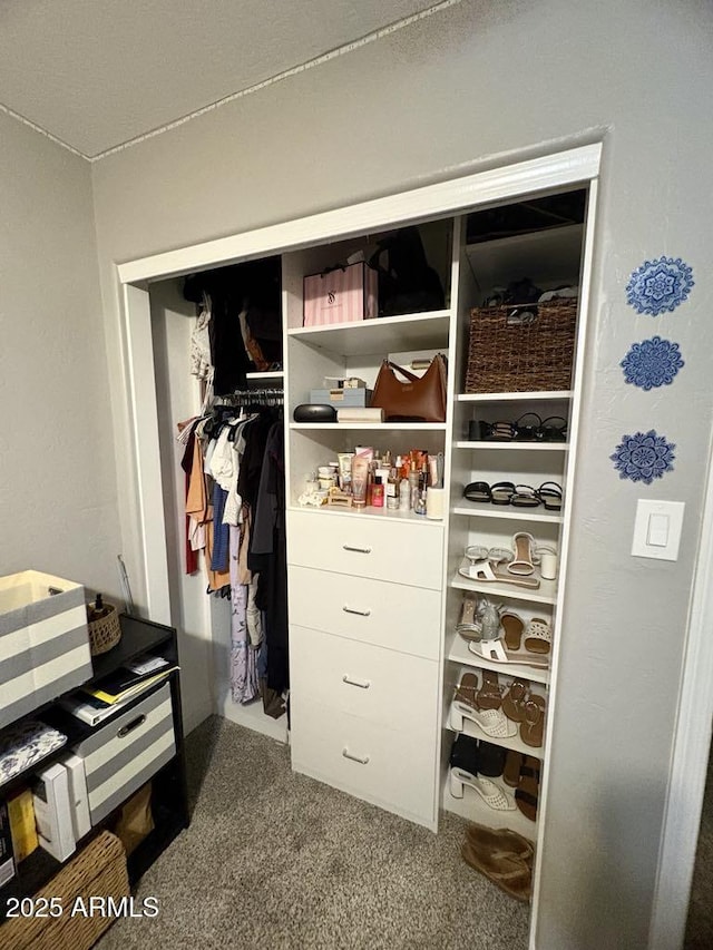 135 S Abalone Dr, Gilbert, AZ 85233 - view of closet
