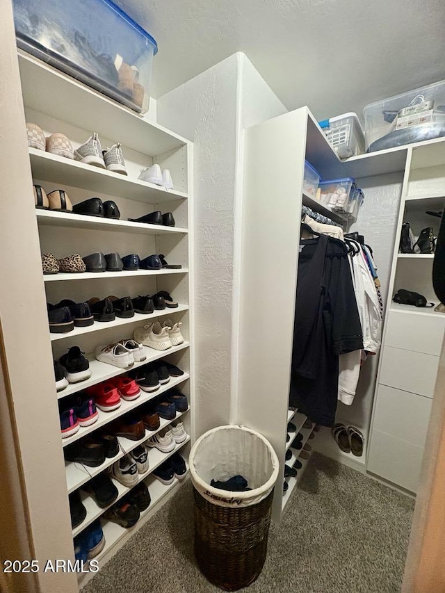 135 S Abalone Dr, Gilbert, AZ 85233 - walk in closet featuring carpet flooring