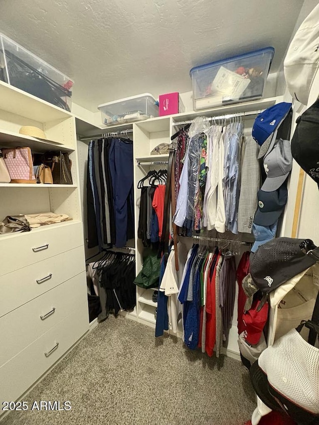 135 S Abalone Dr, Gilbert, AZ 85233 - walk in closet featuring carpet floors
