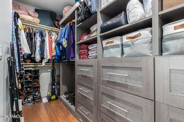 walk in closet featuring hardwood / wood-style floors