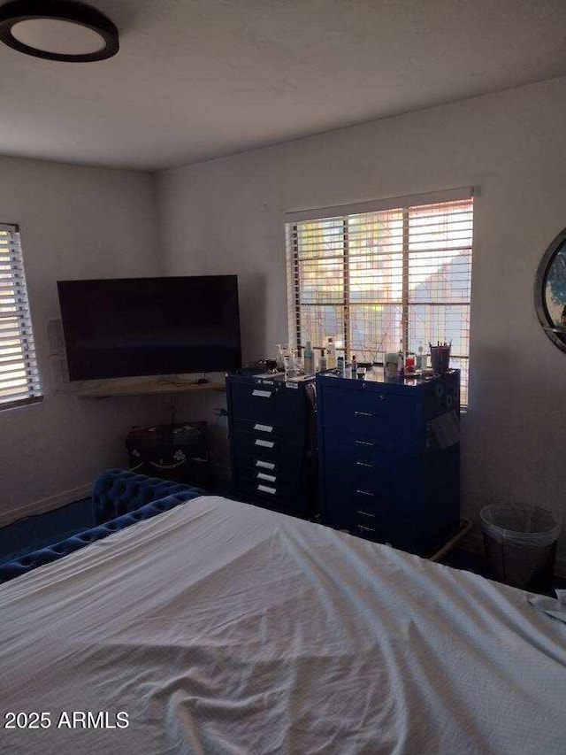 2045 W Orange Dr, Phoenix, AZ 85015 - bedroom featuring multiple windows