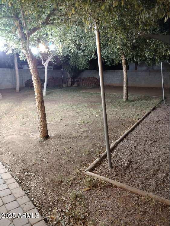 2045 W Orange Dr, Phoenix, AZ 85015 - view of yard