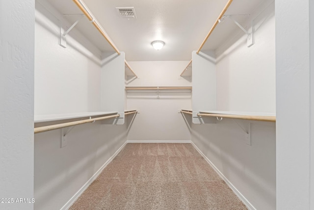 2000 N 36th St Unit 41, Phoenix, AZ 85008 - walk in closet featuring carpet flooring