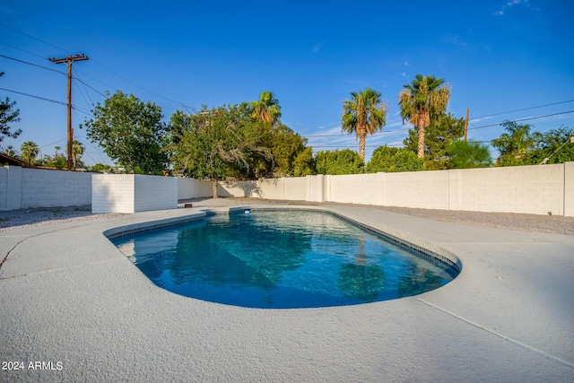 view of pool with a patio area