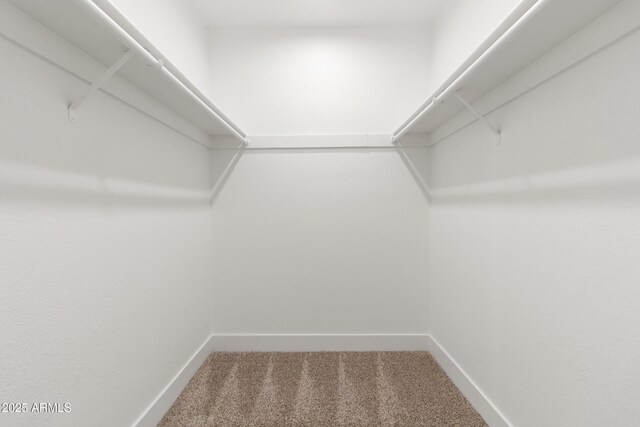 2329 S Elm, Mesa, AZ 85202 - spacious closet featuring carpet