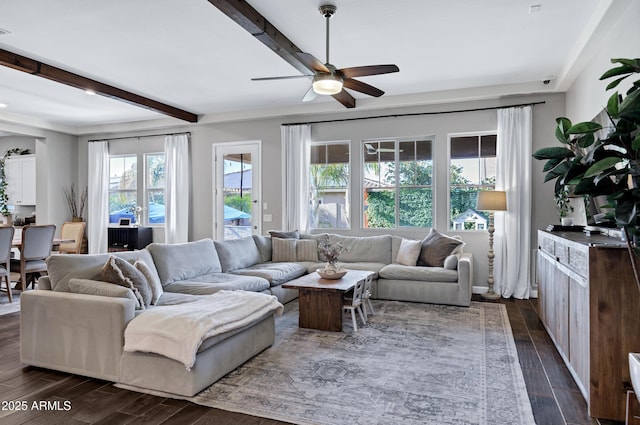 living room with beam ceiling, a ceiling fan, and dark wood finished floors
