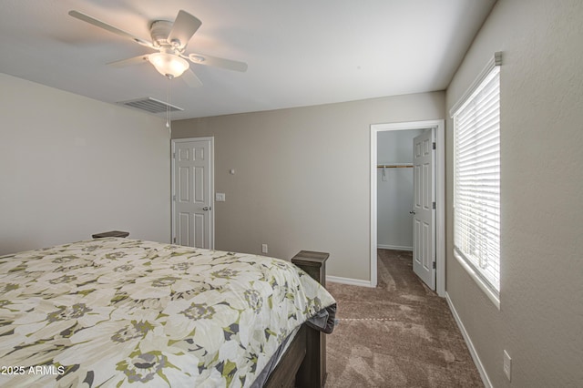 bedroom featuring ceiling fan, a closet, visible vents, a walk in closet, and dark colored carpet