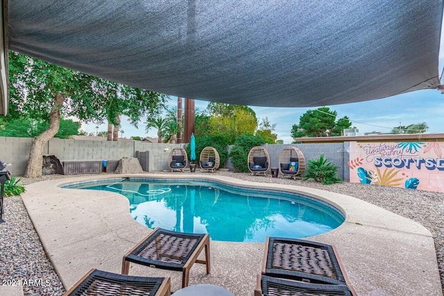 view of swimming pool with a patio