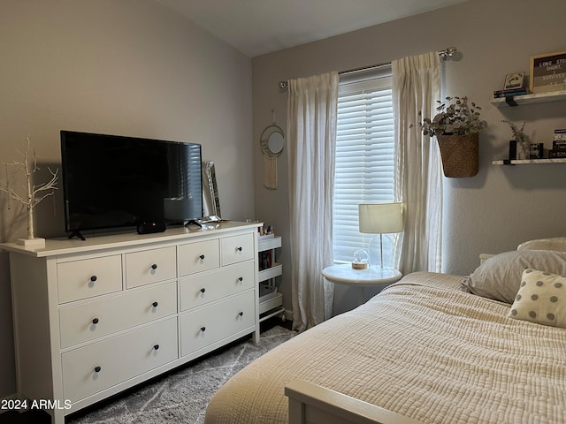 bedroom featuring carpet