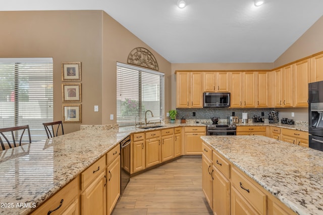 9702 E Naranja Ave, Mesa, AZ 85209 - kitchen featuring stainless steel appliances, lofted ceiling, a sink, light brown cabinets, and light wood-type flooring