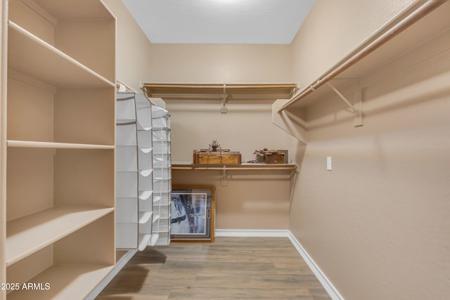 9702 E Naranja Ave, Mesa, AZ 85209 - spacious closet with wood finished floors