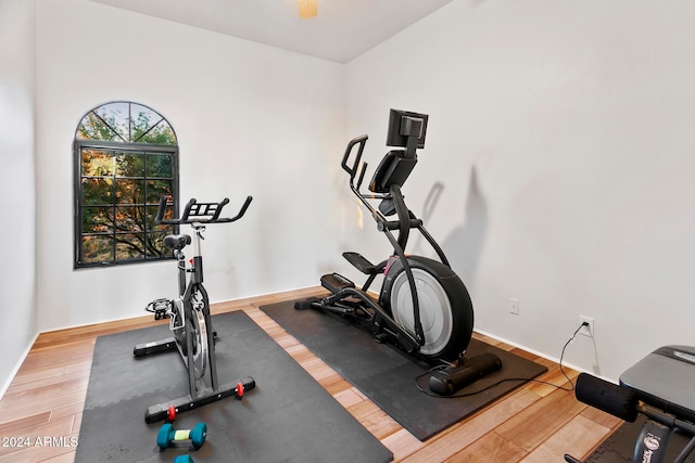 exercise room featuring hardwood / wood-style flooring