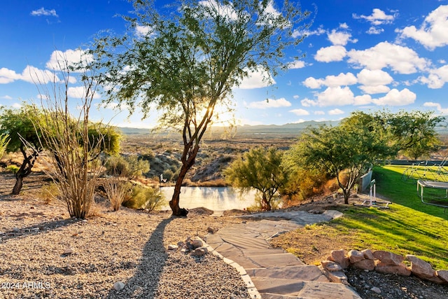 view of yard with a mountain view