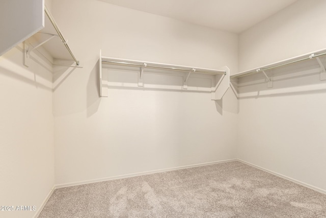 24627 W Ripple Rd, Buckeye, AZ 85326 - walk in closet with carpet