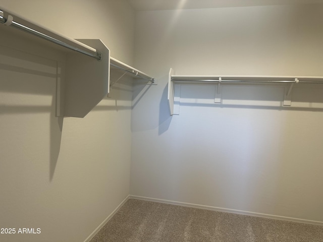 24627 W Ripple Rd, Buckeye, AZ 85326 - walk in closet featuring carpet floors