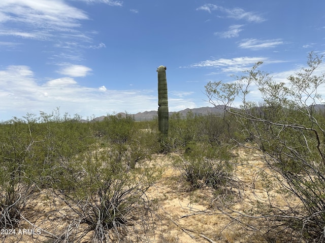 1483 S Sandario Rd -, Unit Tucson AZ, 85735 land for sale