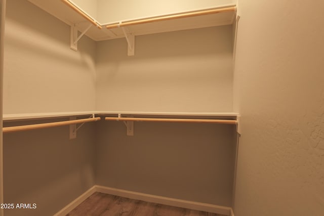 spacious closet featuring wood finished floors