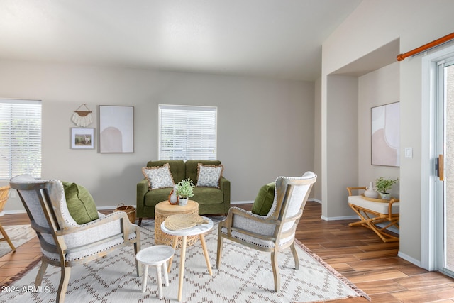 living room featuring light hardwood / wood-style floors and a wealth of natural light