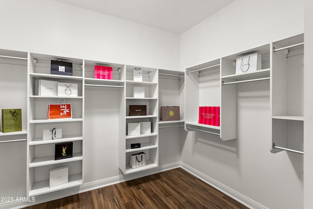 walk in closet featuring dark wood finished floors