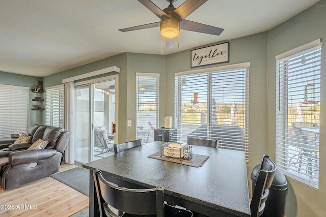 dining area with hardwood / wood-style floors