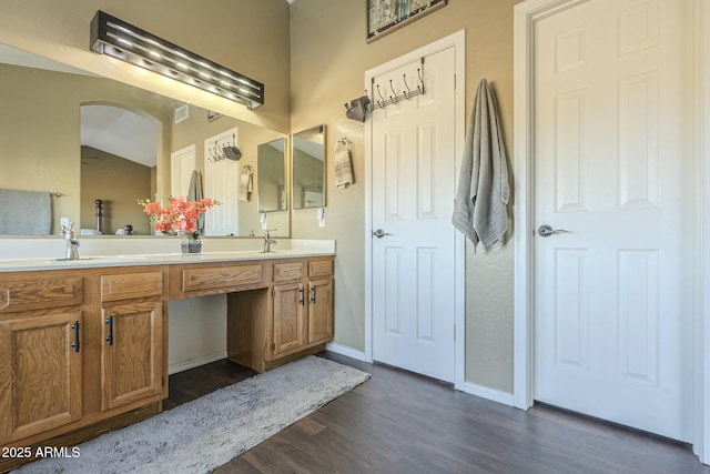 bathroom featuring wood-type flooring and vanity