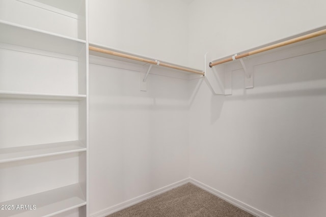 spacious closet with carpet floors