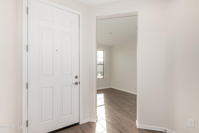 foyer with wood-type flooring