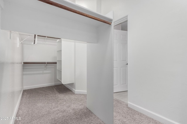 spacious closet featuring carpet