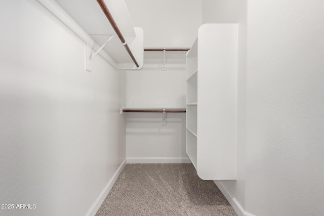 walk in closet with carpet floors