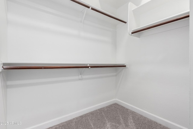 spacious closet with carpet