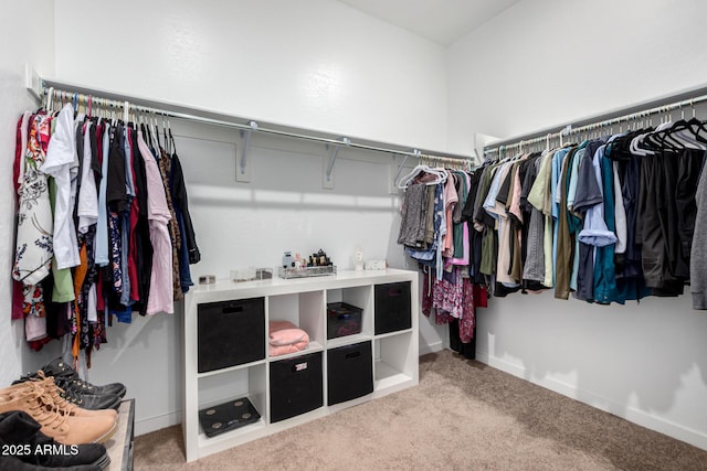 walk in closet featuring carpet