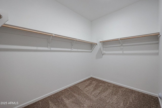 spacious closet with carpet flooring