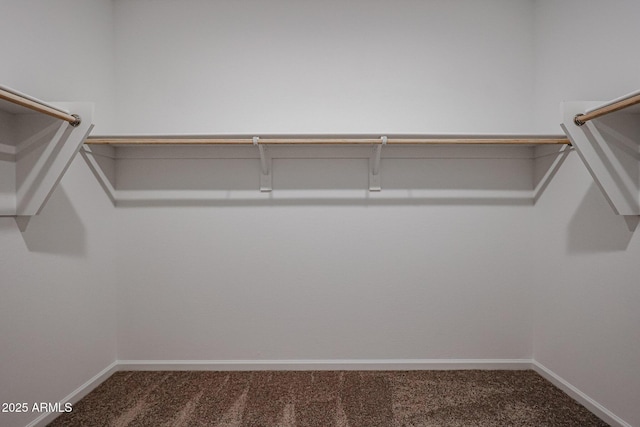 walk in closet with carpet flooring