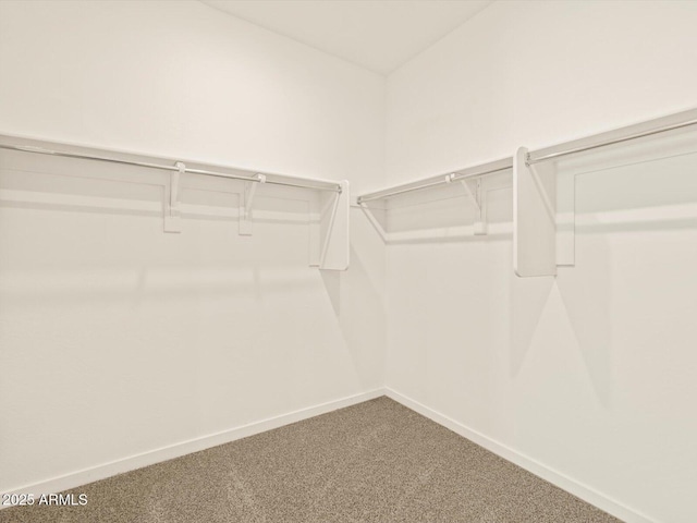 walk in closet featuring carpet flooring