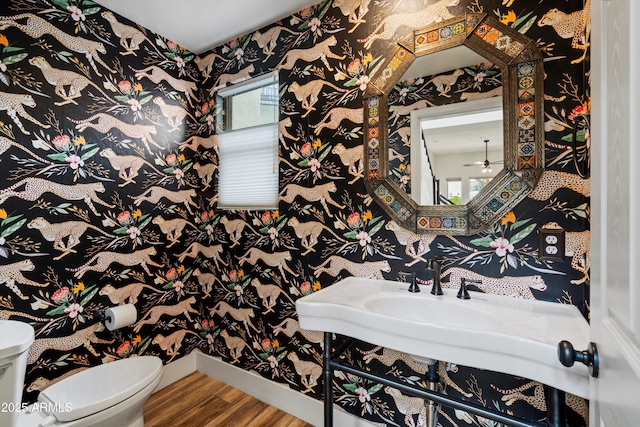 bathroom featuring baseboards, toilet, wallpapered walls, and wood finished floors