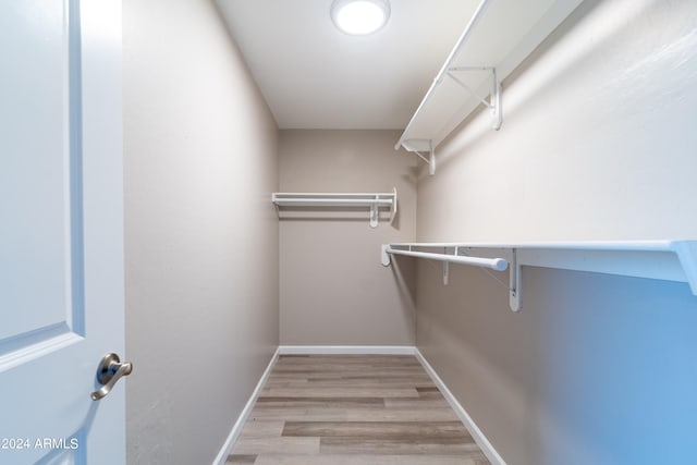 spacious closet featuring light wood-type flooring