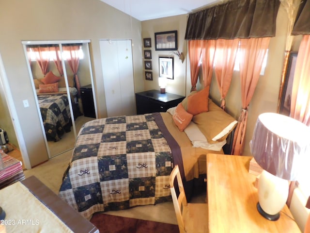 bedroom featuring vaulted ceiling and multiple windows